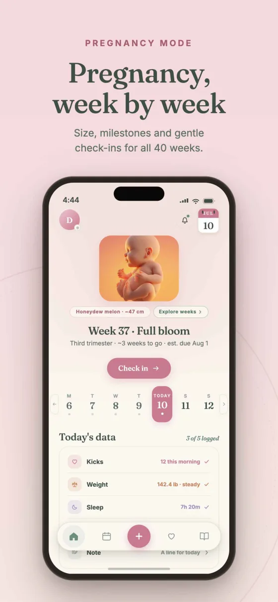 Dela Pregnancy mode showing an estimated week, baby size, and gentle daily entries